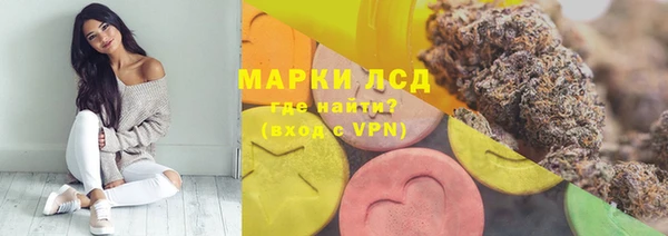 молекула духа Пестово