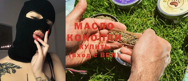 молекула духа Пестово