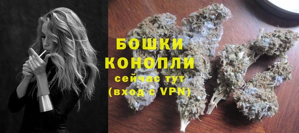 молекула духа Пестово